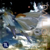 Twilight 005 – 1096005 – Dutch Edition